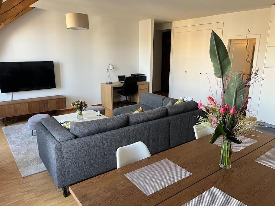 Rive Rhone Flat * Ginevra