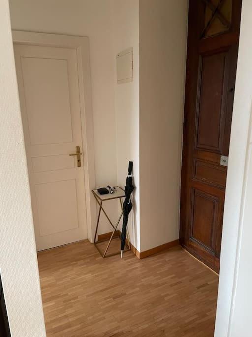 Rive Rhone Flat Apartment Geneva
